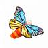 Игрушка - Гусеница превращается в бабочку  - миниатюра №2